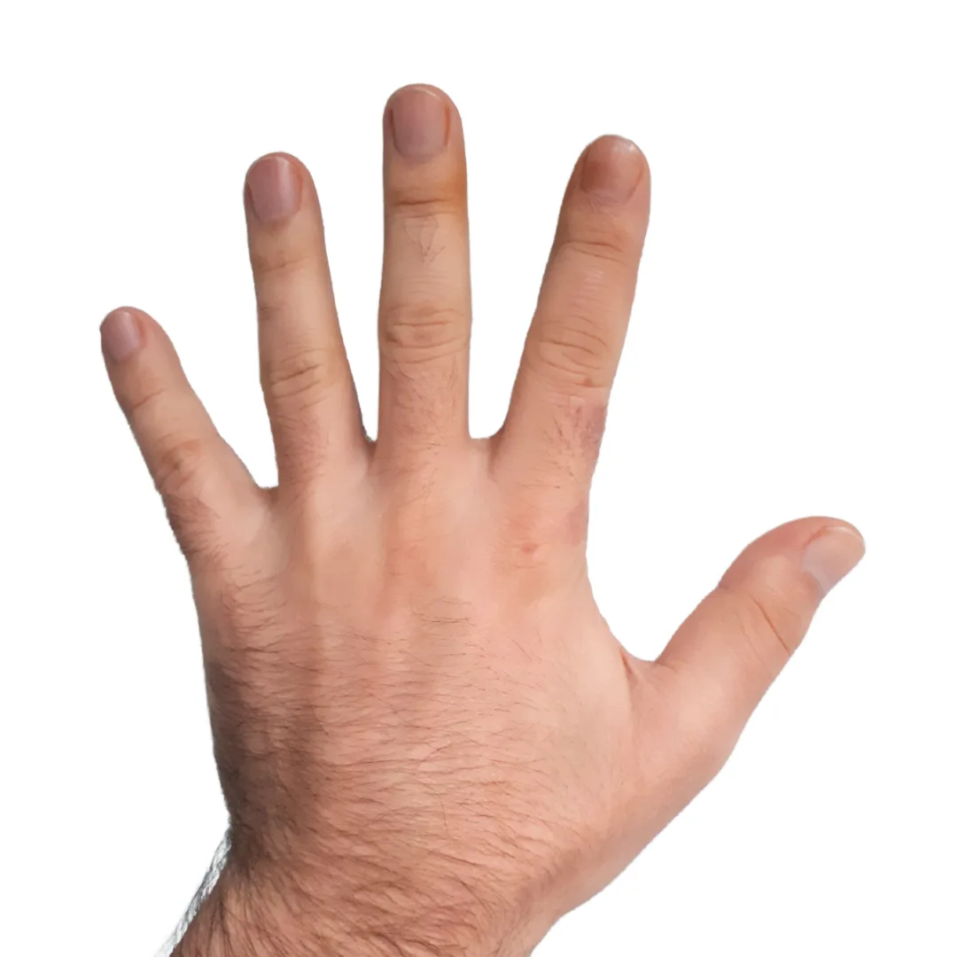Fingers / Dedos LHR